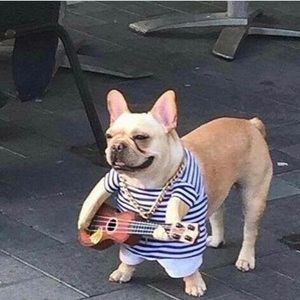 Meet your Posher, Brycen